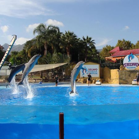 Minerva Paradise Benalmadena Ngoại thất bức ảnh