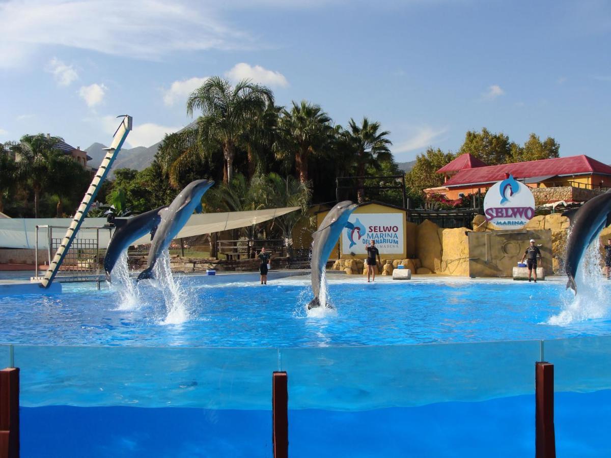 Minerva Paradise Benalmadena Ngoại thất bức ảnh
